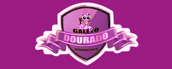 Galeto Dourado